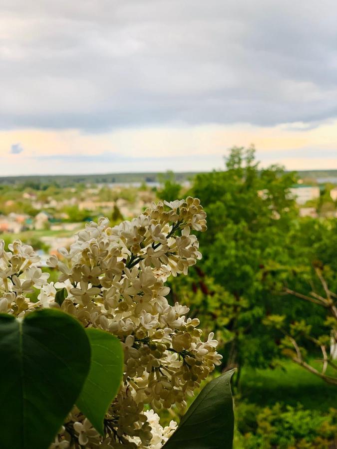 Гостевой Дом "Дача Салтов" Staryy Saltiv Dış mekan fotoğraf