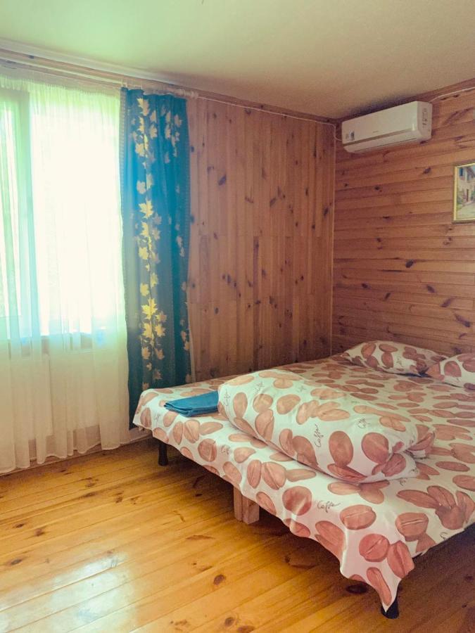 Гостевой Дом "Дача Салтов" Staryy Saltiv Dış mekan fotoğraf