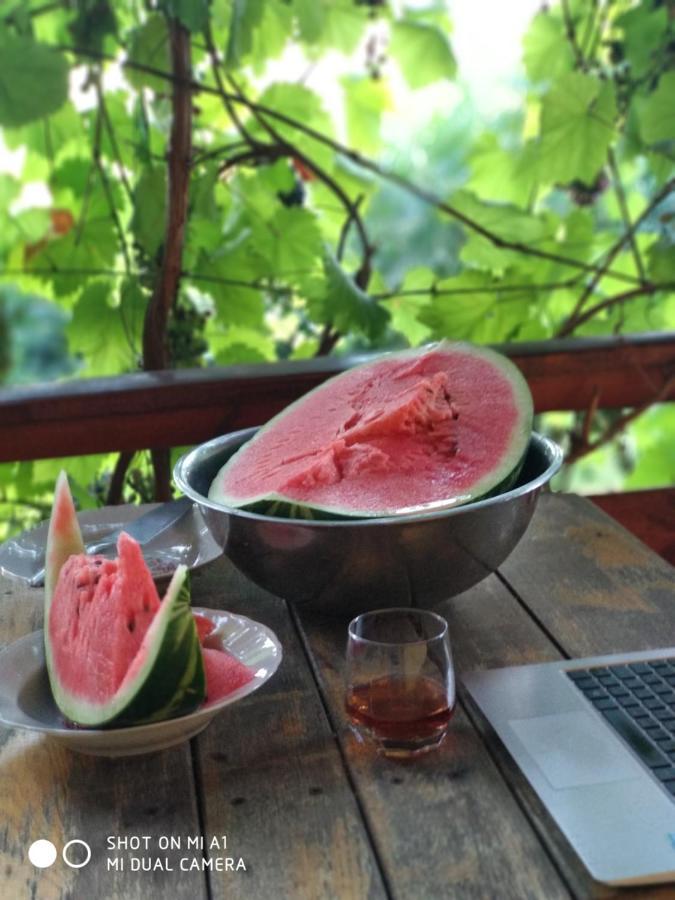 Гостевой Дом "Дача Салтов" Staryy Saltiv Dış mekan fotoğraf